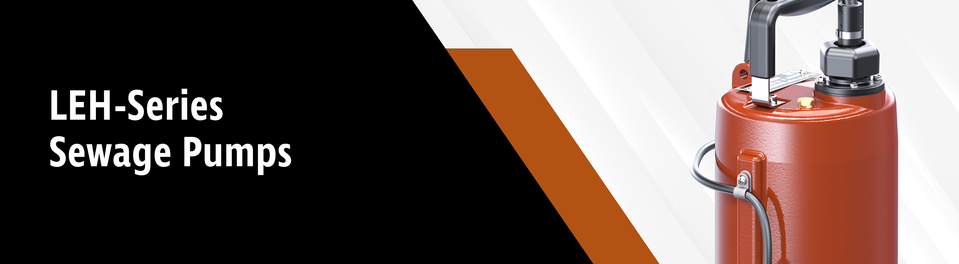 LEH100-Header-01.jpg